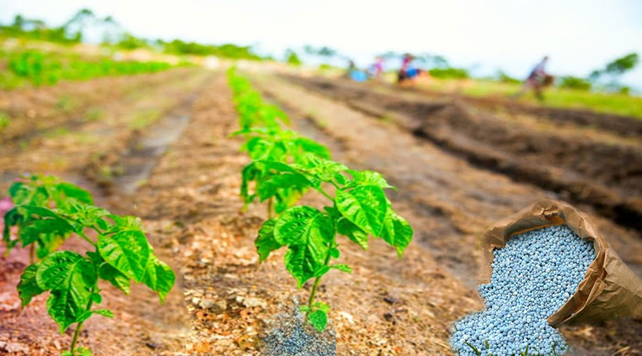 Smart fertilizers as an approach to sustainable farming - Ingenious e-Brain