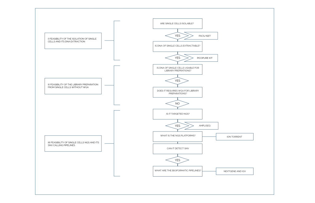 Flow diagram of scNGS with appropriate considerations - Ingenious e-Brain