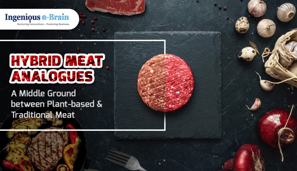 Hybrid Meat: Bridging Plant-Based and Traditional Meat