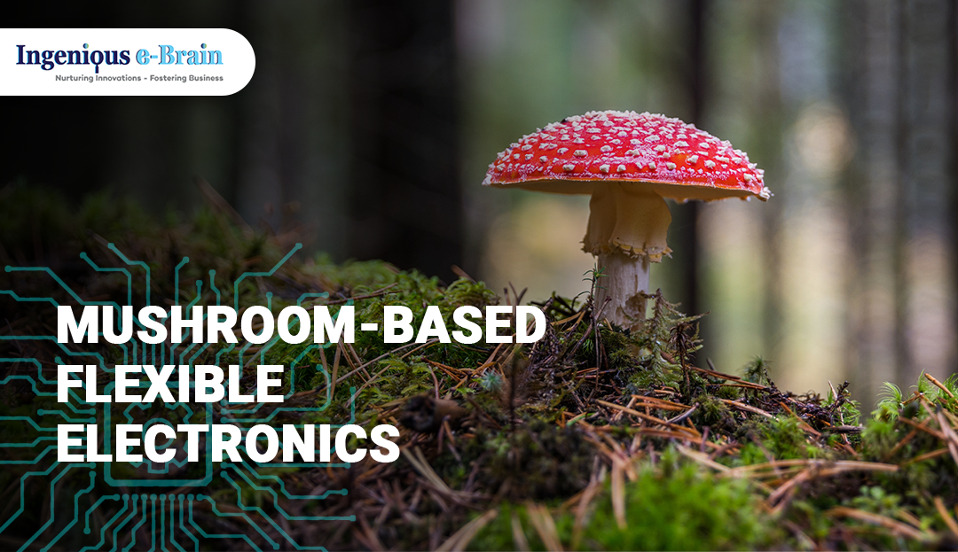 Mushroom-Based Flexible Electronics Service from IEBS