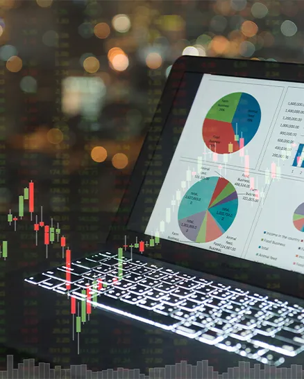 Portfolio Analysis