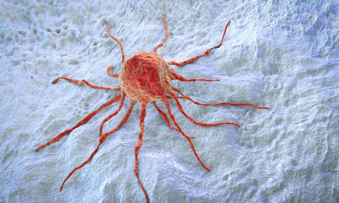 Northwest Biotherapeutics approved by MHRA for therapy investigation