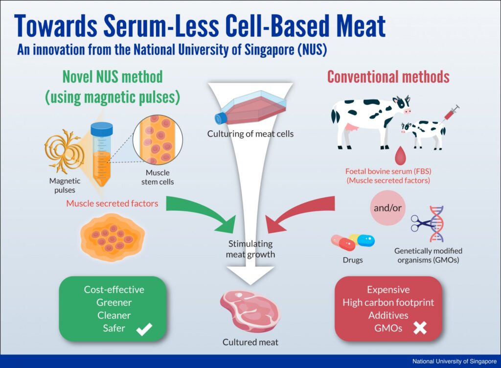 Developing Meat in Lab using Magnetic Field