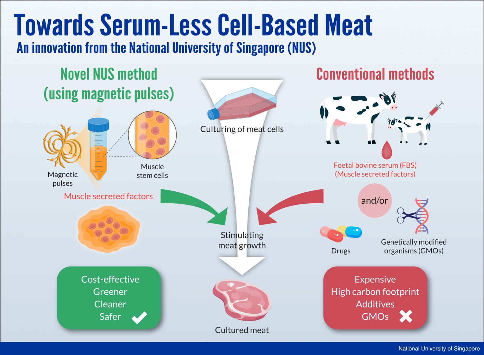 Developing Meat in Lab using Magnetic Field