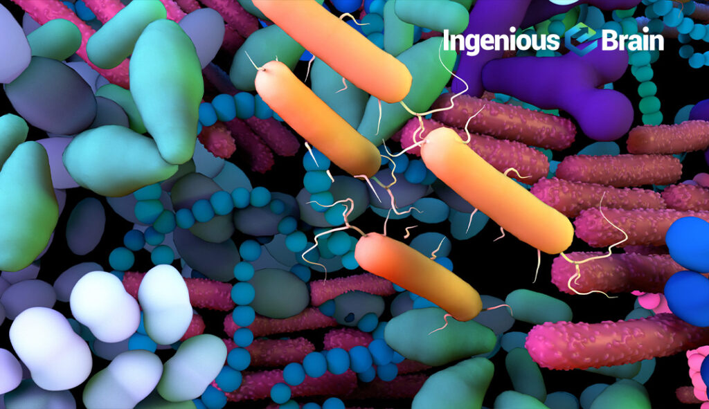 Microbiome Therapeutics: Emerging as a Potential Solution for Gastroesophageal Reflux Disease, Diverticulitis, and Irritable Bowel Syndrome in Chinese Landscape