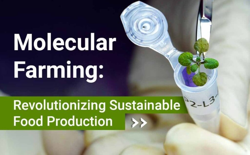 Molecular Farming: Revolutionizing Sustainable Food Production