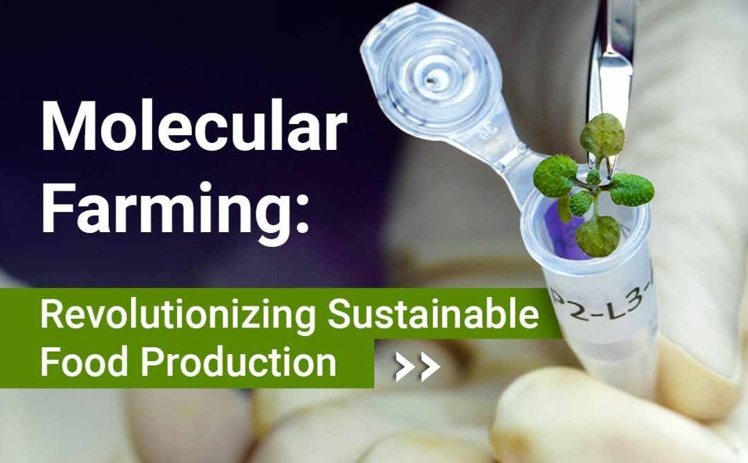 Molecular Farming: Revolutionizing Sustainable Food Production