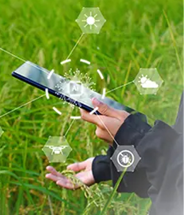 Digitalization