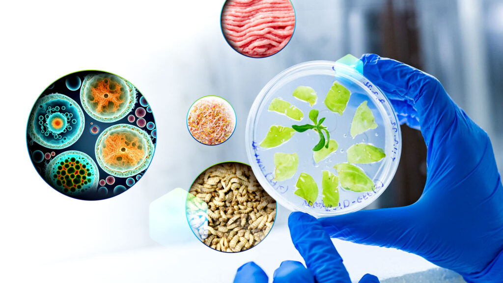 Enabling Market Entry: How We Helped Navigate the Regulatory Landscape for Alternative Proteins