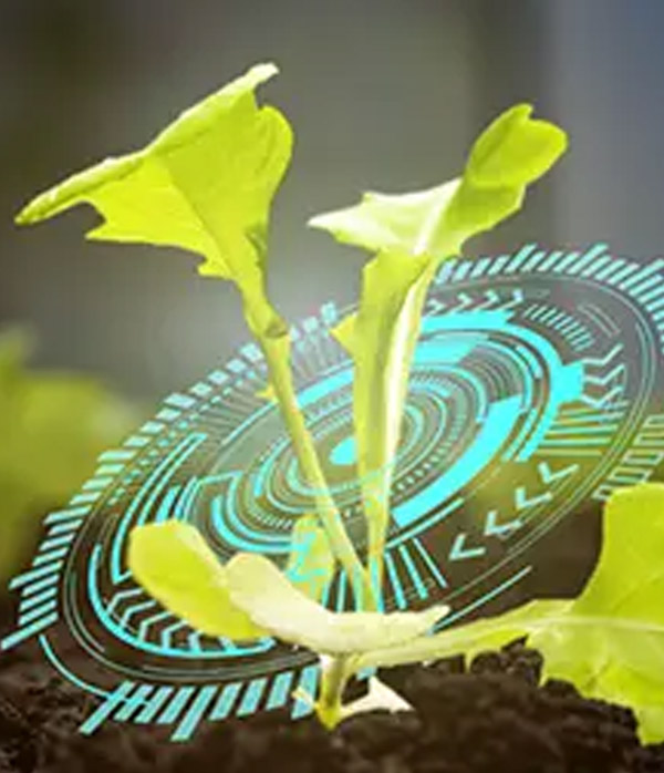 Sustainability & Circular Economy