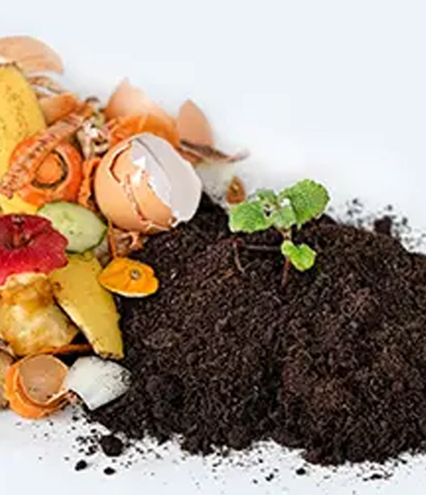 Waste Reduction