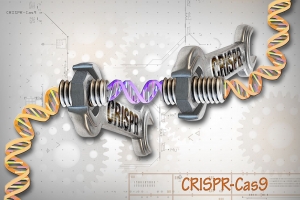 Webinar – CRISPR-Cas9 : Technology Intelligence