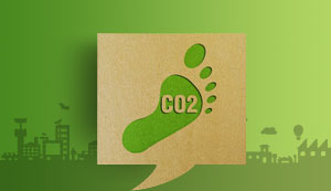 How Companies Can Achieve Sustainability Through Carbon Footprint Analysis