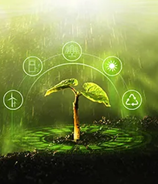 Sustainability