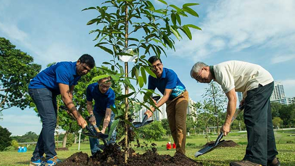 Prioritising and Promoting Sustainability across Personal & Professional Platforms