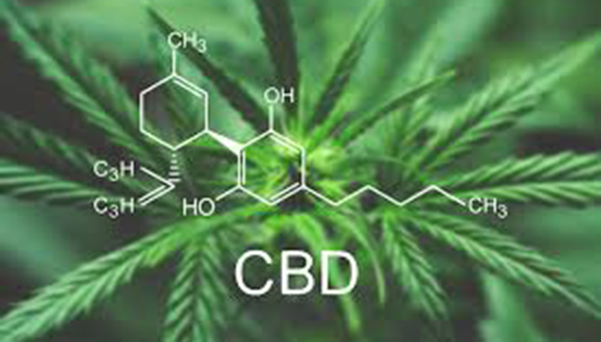Sublingual Delivery of CBD