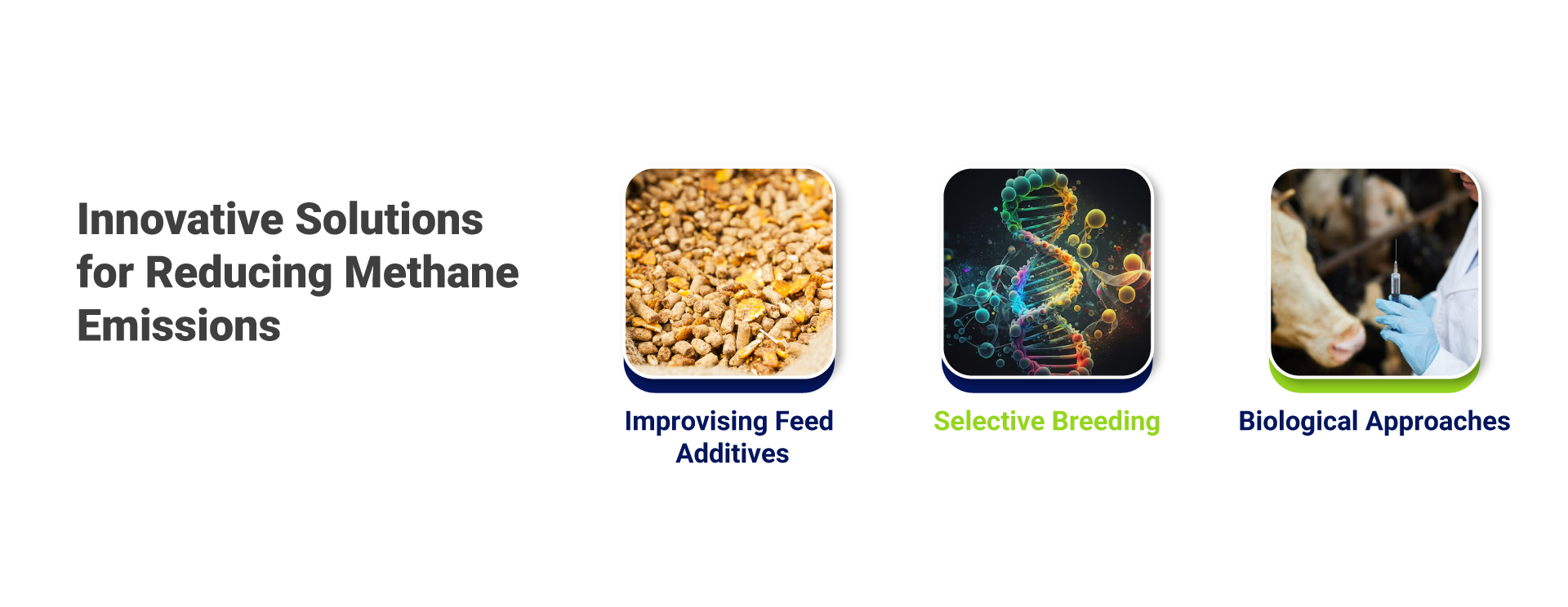 Innovative Solutions for Reducing Methane Emissions - Lowering Carbon Emissions