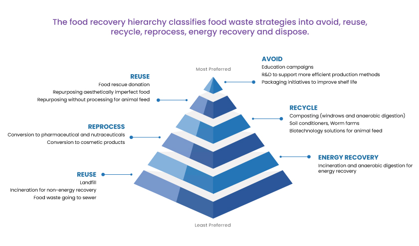 Biomass Waste: A Big Space to Explore
