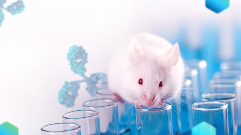Understanding the FDA’s Ambitious Plan to Eliminate Animal Testing in Drug Development
