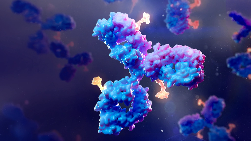 First Dual-Payload ADCs Enter Clinical Trials in 2025, Revolutionizing Cancer Therapeutics