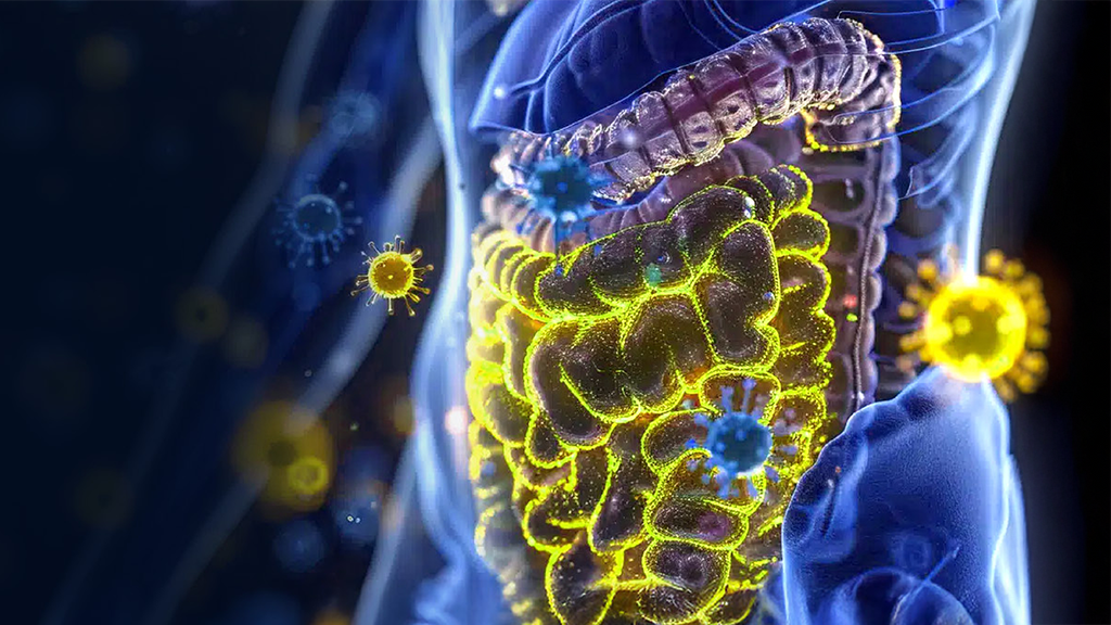 Gut Microbiome Therapeutics: The New Frontier in Disease Prevention & Care