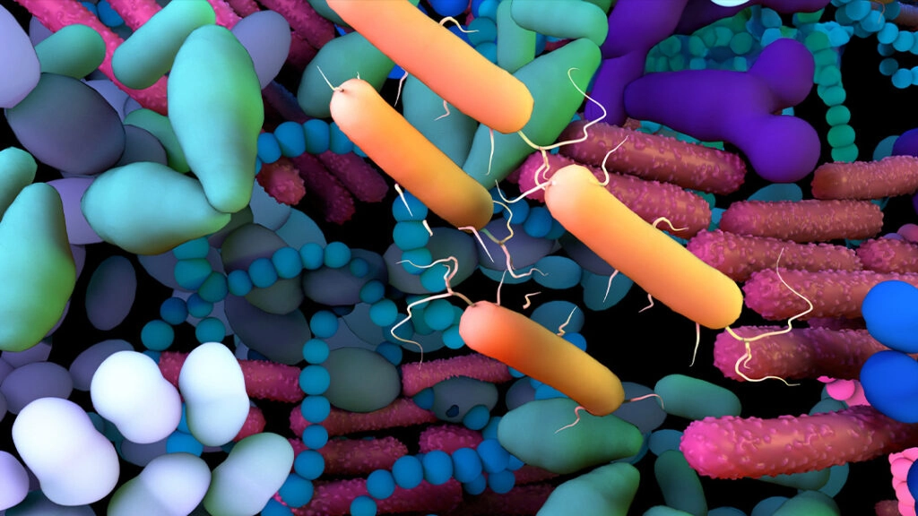 Microbiome Therapeutics: Emerging as a Potential Solution for Gastroesophageal Reflux Disease, Diverticulitis, and Irritable Bowel Syndrome in Chinese Landscape