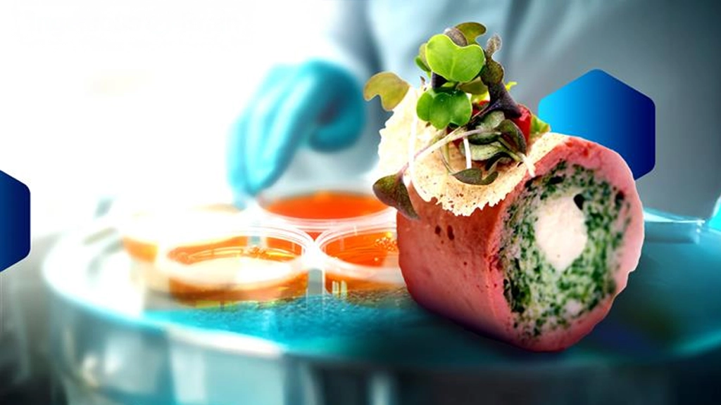 Reimagining Plant-based Meat: Sustainable Binders and Natural Colorants for the Future