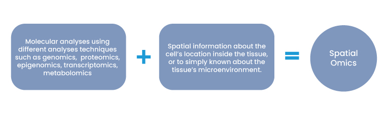 Spatial omics