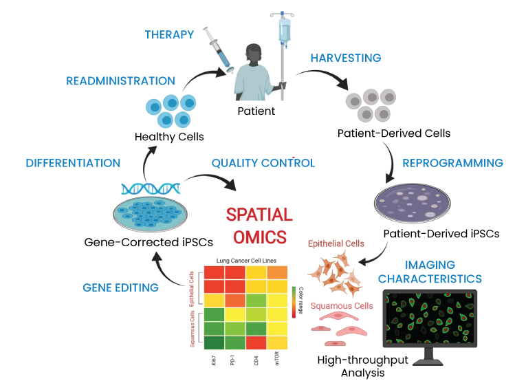 Spatial Omics in Battle against Cancer