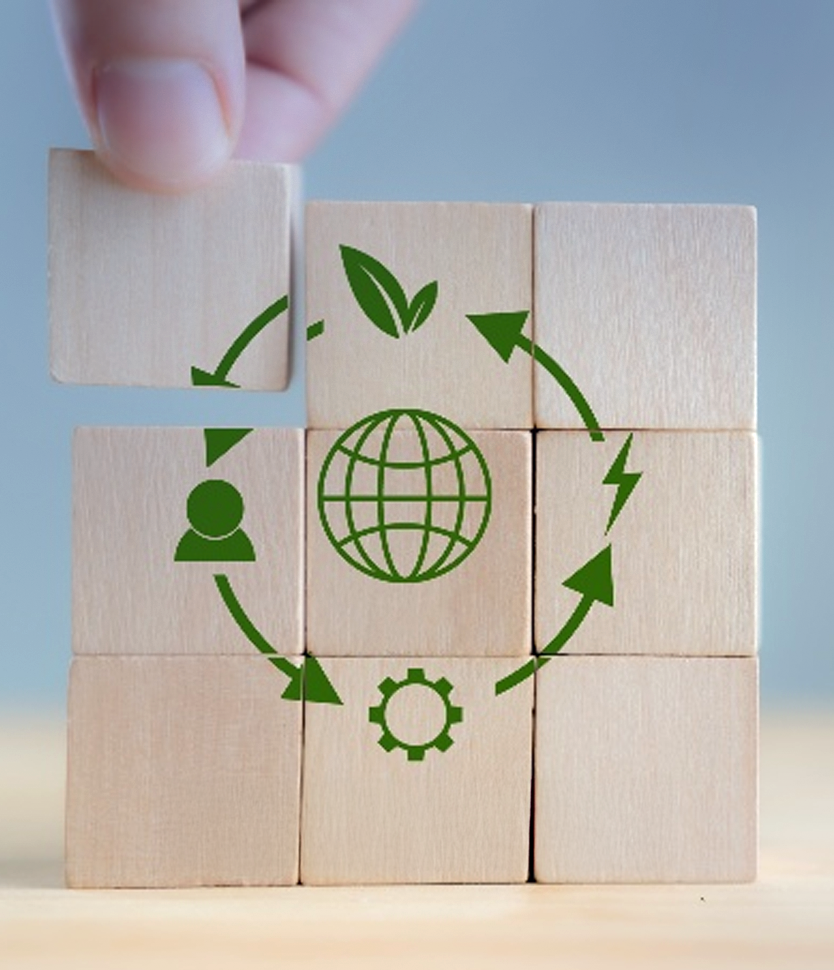 Sustainability & Circular Economy