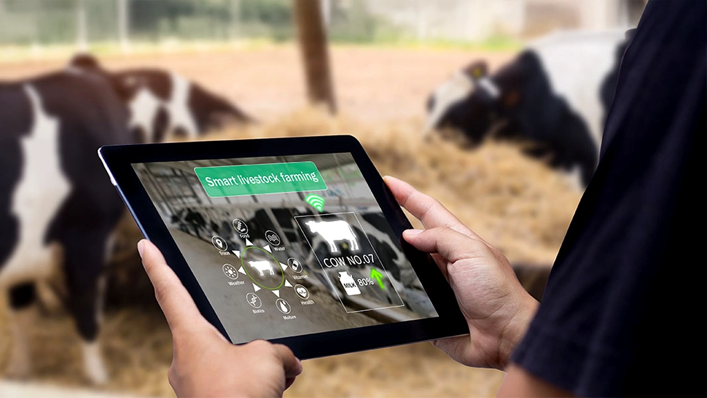 Transforming the Dairy Industry with Digital Technology
