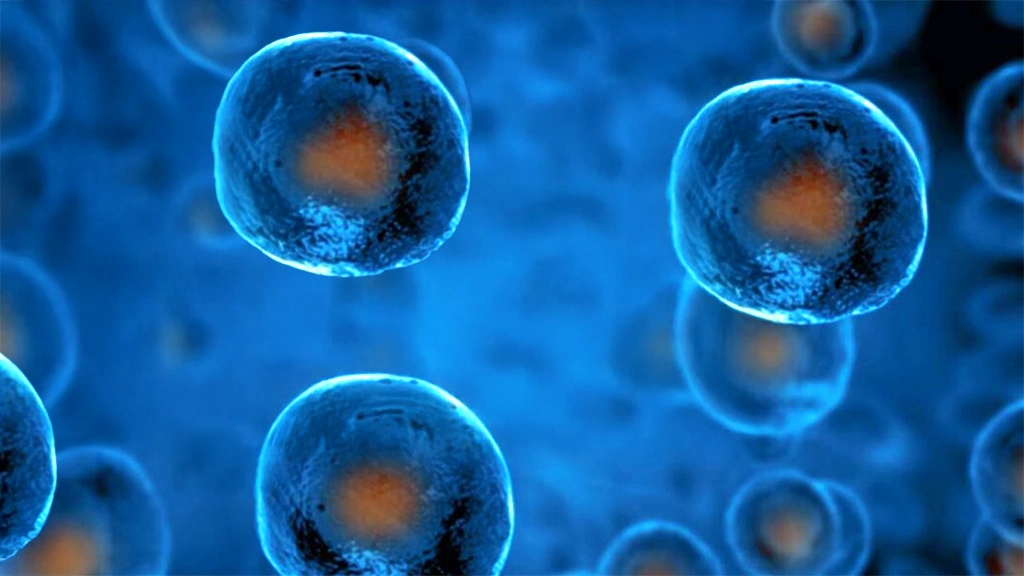 Tumor-agnostic treatments: bold frontier in oncology drug dev.