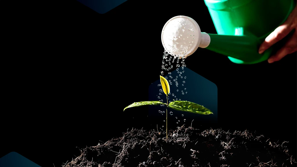 Turnaround & Growth Strategy