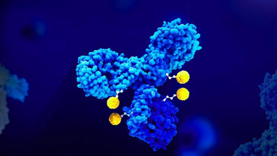 Antibody Drug Conjugates: Precision-packed Therapies Transforming Oncology, Pharma Strategy, and the Future of Drug Delivery