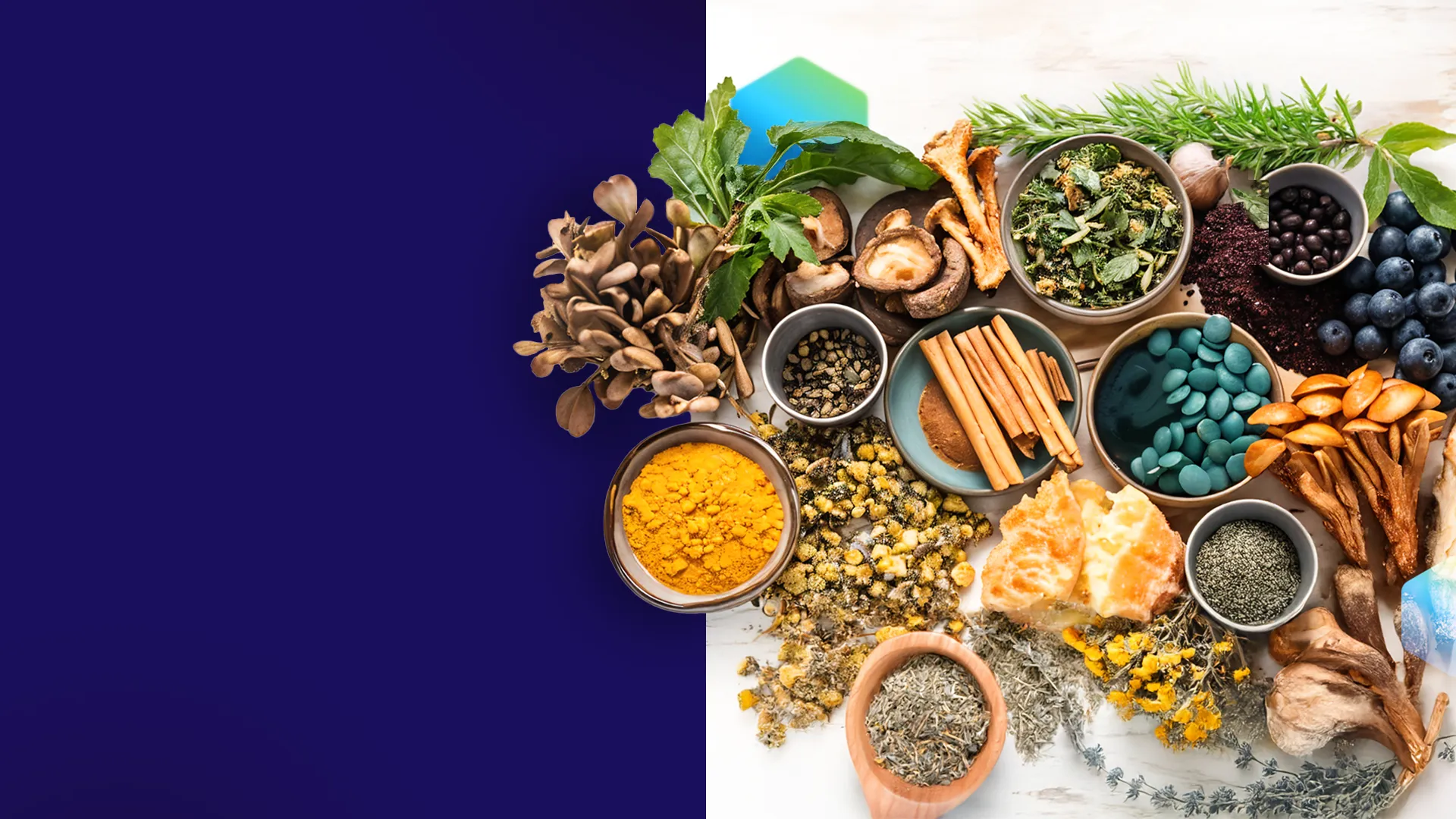 How we helped an FMCG client find adaptogenic ingredients that integrate into multiple product lines & offer functional benefits