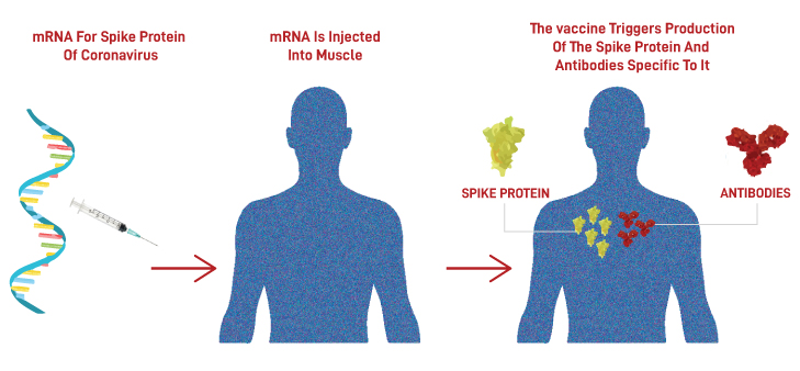 The New Era of Vaccine: mRNA Technology