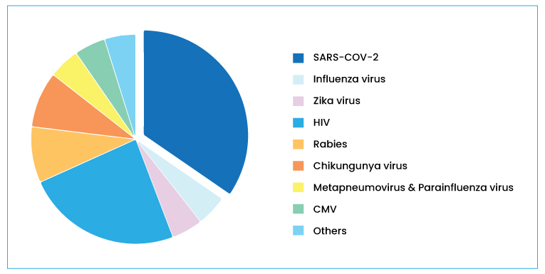 mRNA Therapy Targeted Diseases