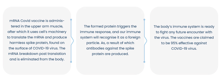 How mRNA COVID-19 Vaccine Work?