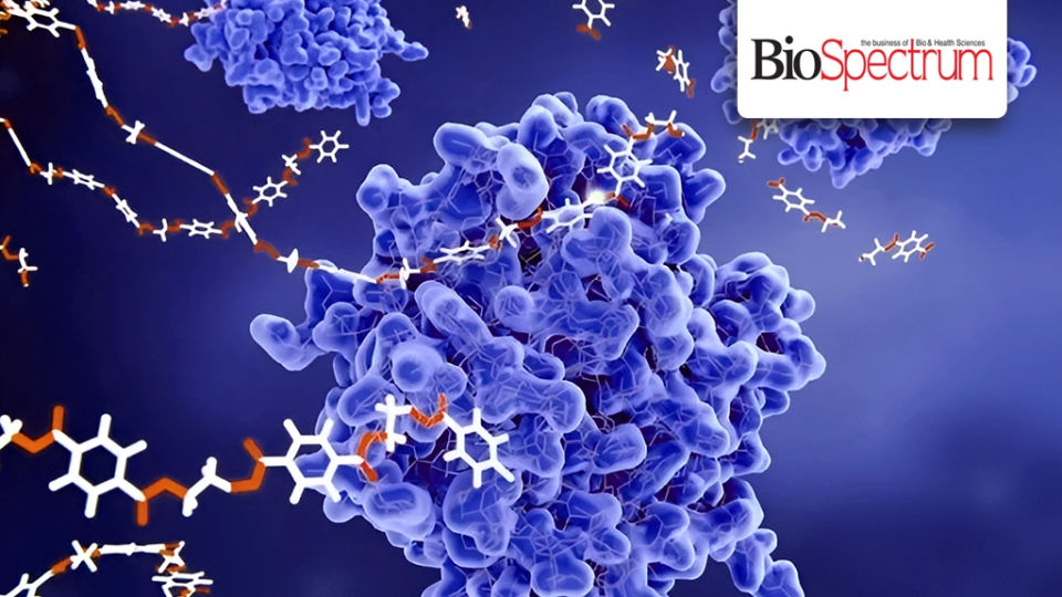 Nanozymes: The Next Generation of Artificial Enzymes