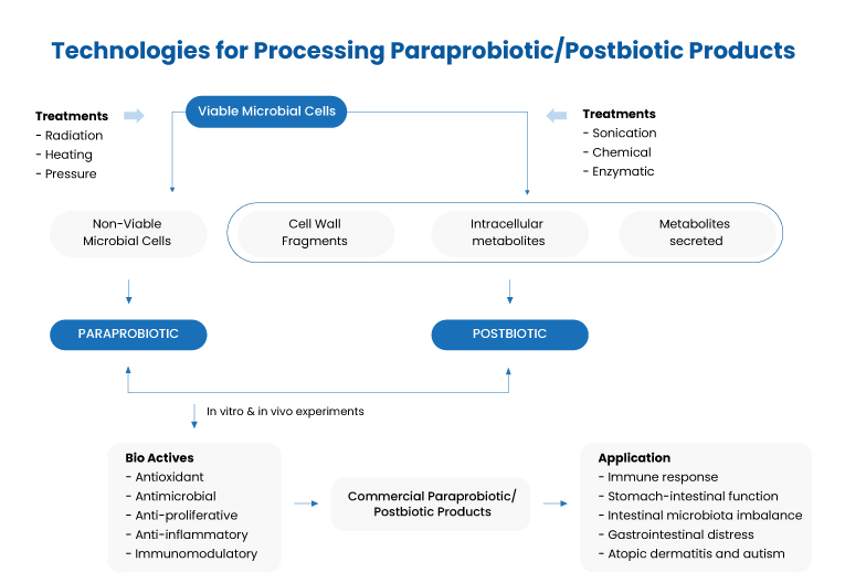 The Concept of Postbiotics